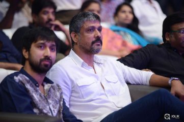 Pandaga Chesko Movie Audio Launch